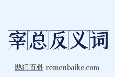 宰总反义词是什么意思的图片